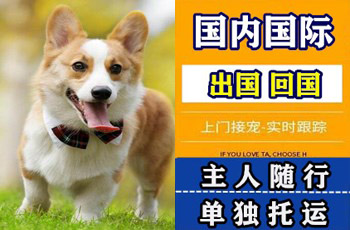 怀柔区宠物托运公司怀柔区宠物托运公司怀柔区宠物托运公司
