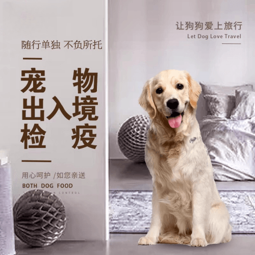 怀柔区宠物托运到哥伦比亚猫狗宠物入境规定和