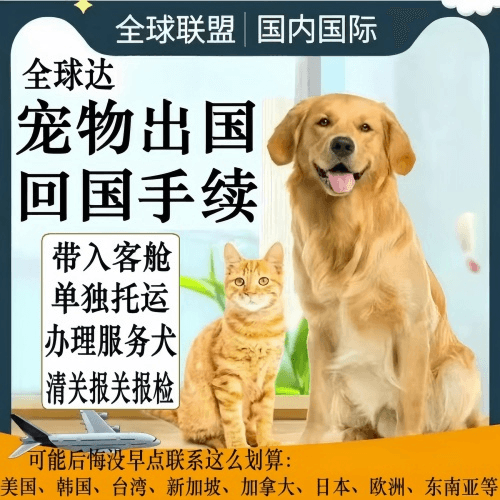 怀柔区宠物托运到柬埔寨宠物入境规定和要求