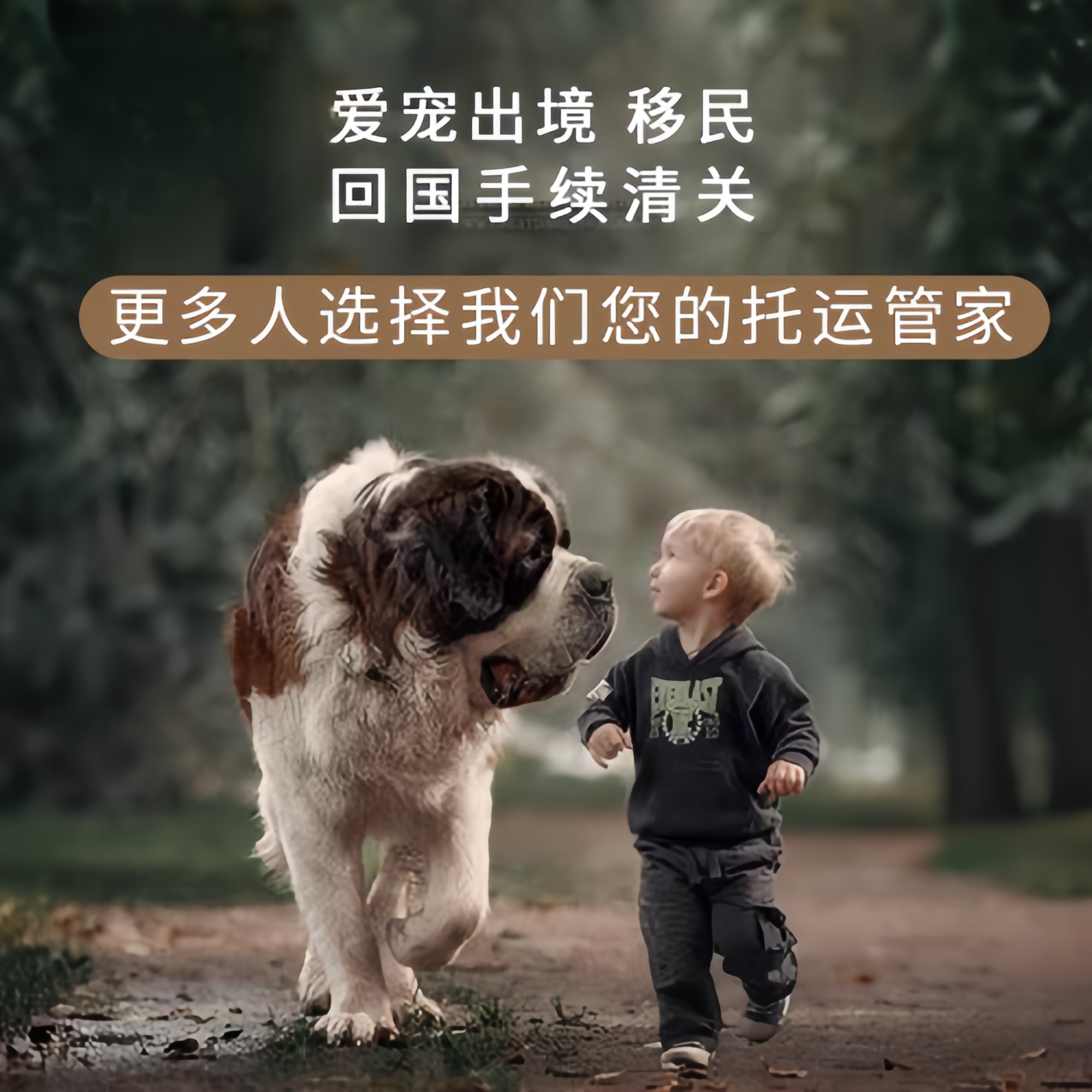 满财怀柔区宠物全球达宠物托运在遵守入境目的地政策的条件